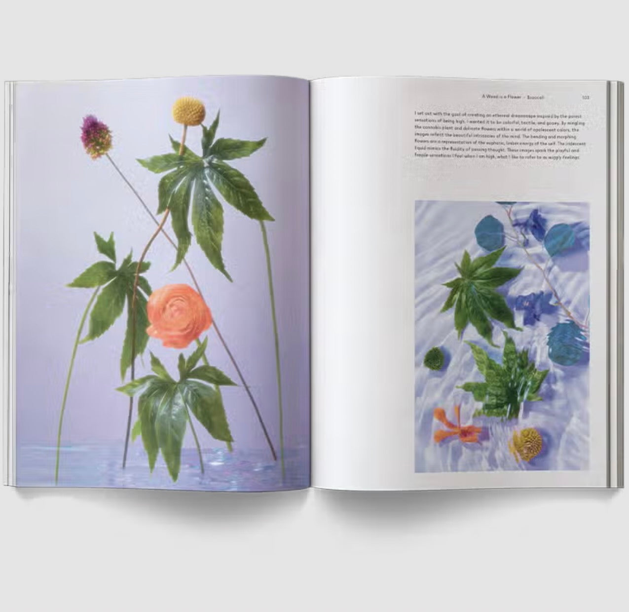 WEED IS A FLOWER BOOK