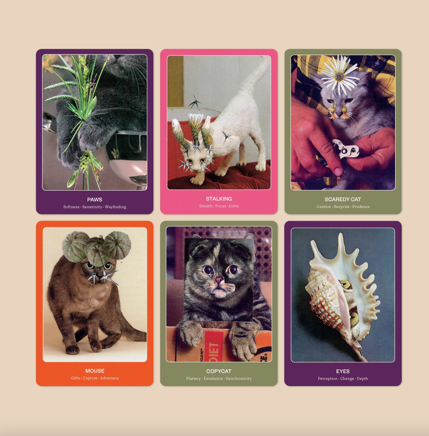 THE CAT ORACLE CARD DECK