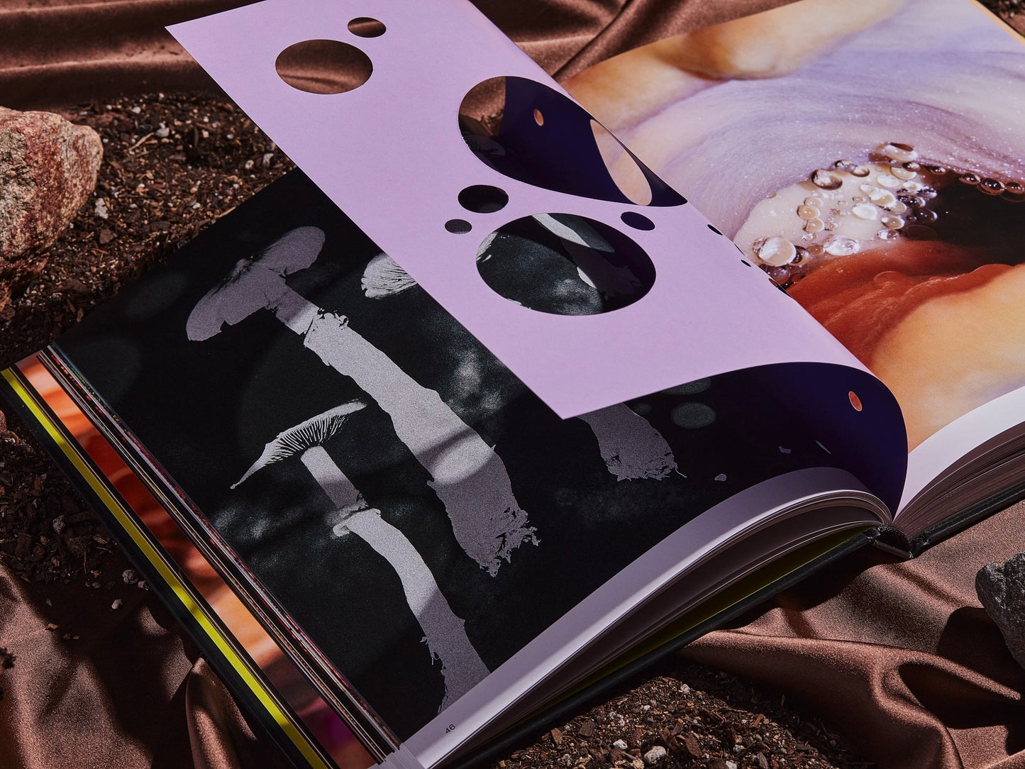 SPORES: A MAGICAL MUSHROOM PHOTOGRAPHY BOOK