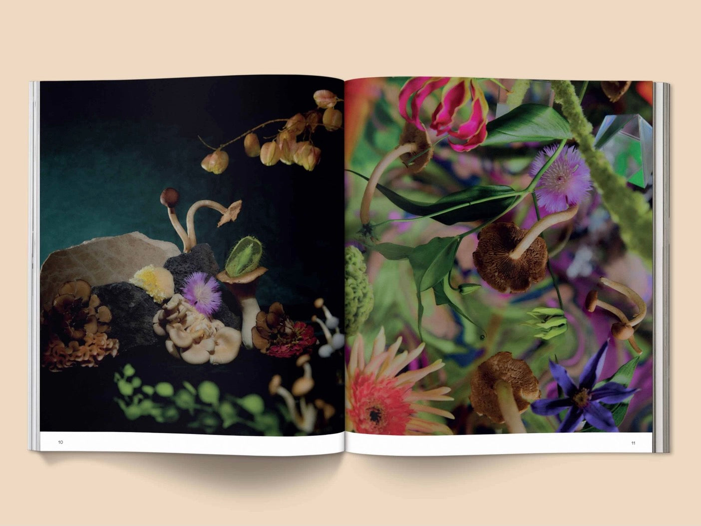 SPORES: A MAGICAL MUSHROOM PHOTOGRAPHY BOOK