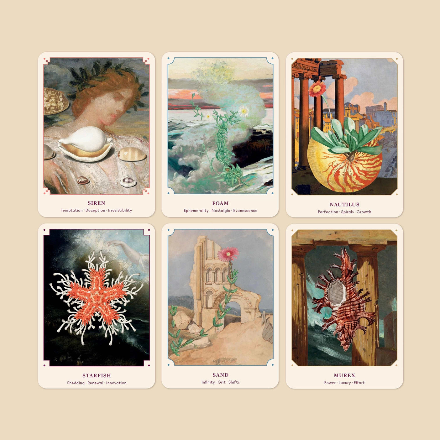 THE SEASHELL ORACLE: 44 CARD DECK & BOOK