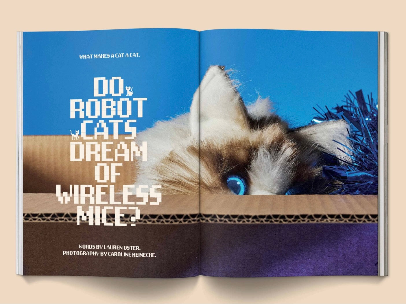 CATNIP: A MAGAZINE FOR CAT PEOPLE