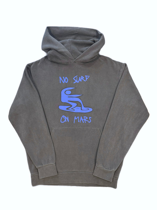 PLANET B HOODIE