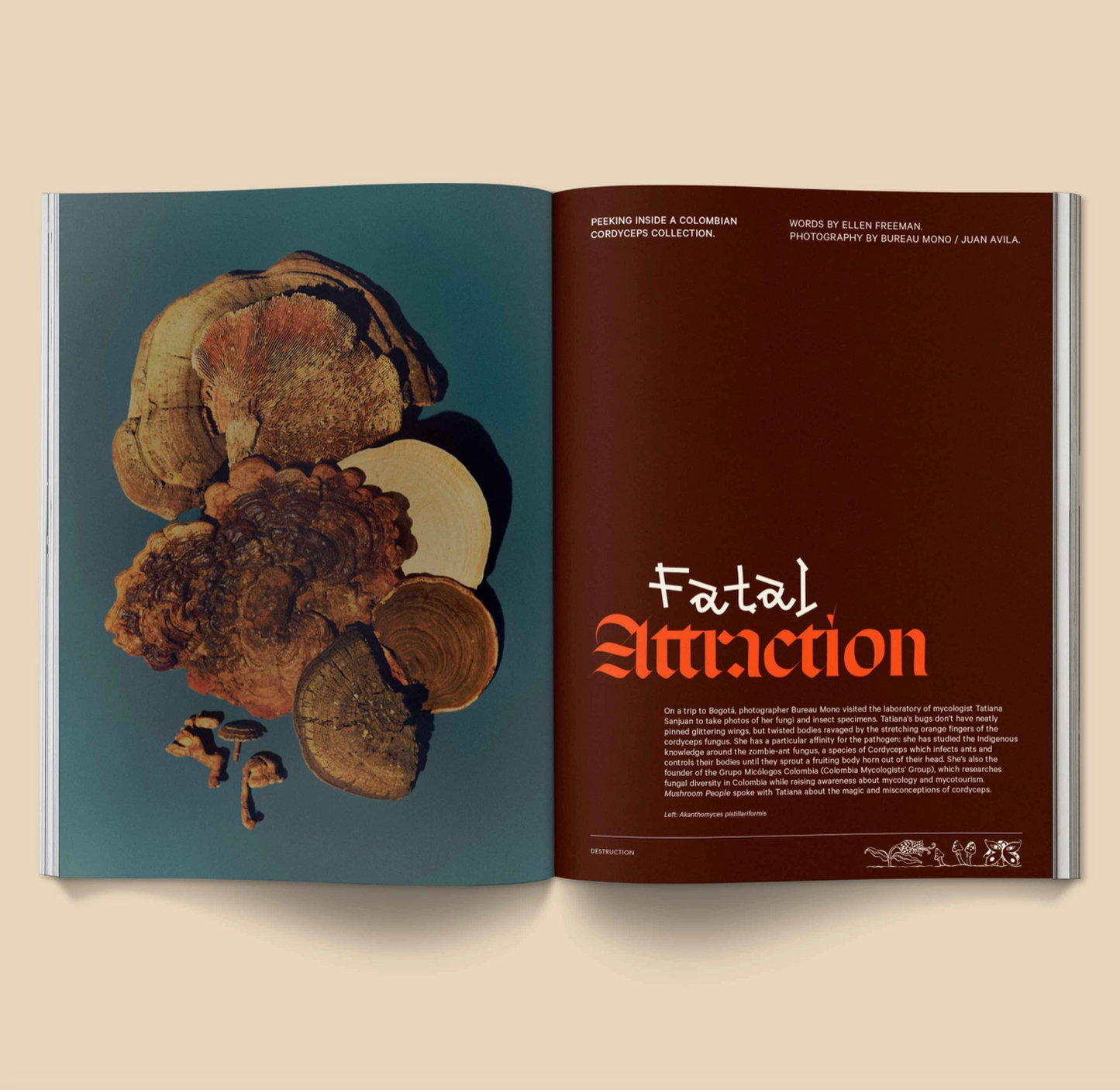 MUSHROOM PEOPLE MAG: Vol. 2