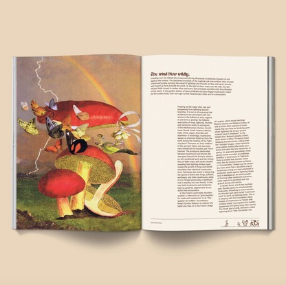 MUSHROOM PEOPLE MAG: Vol. 2